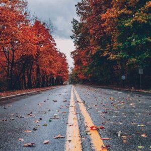 product2 free img.jpg